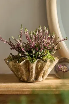 Golden Handkerchief Planter, Large