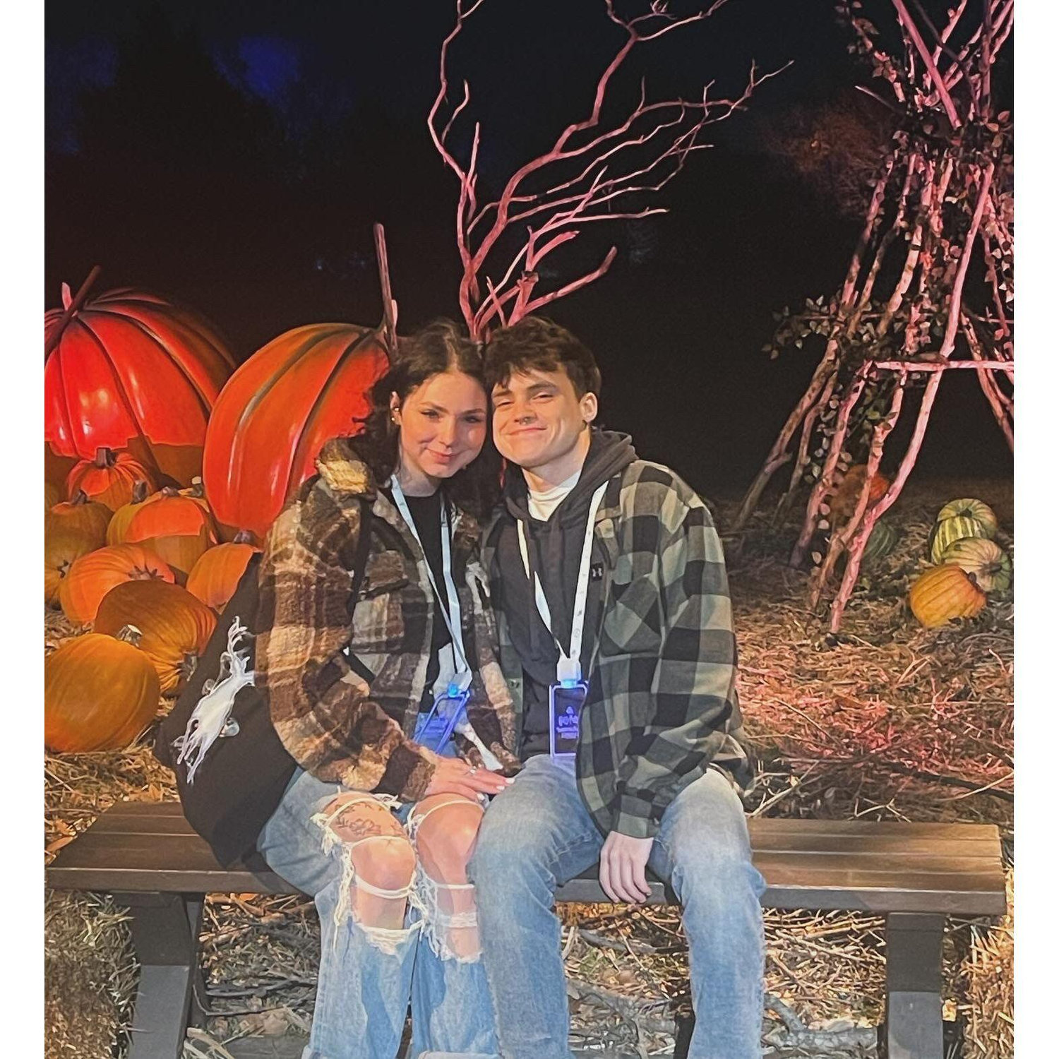 Harry Potter experience