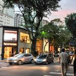Rua Oscar Freire