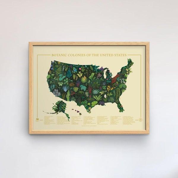 Botanic Colonies of the US Print