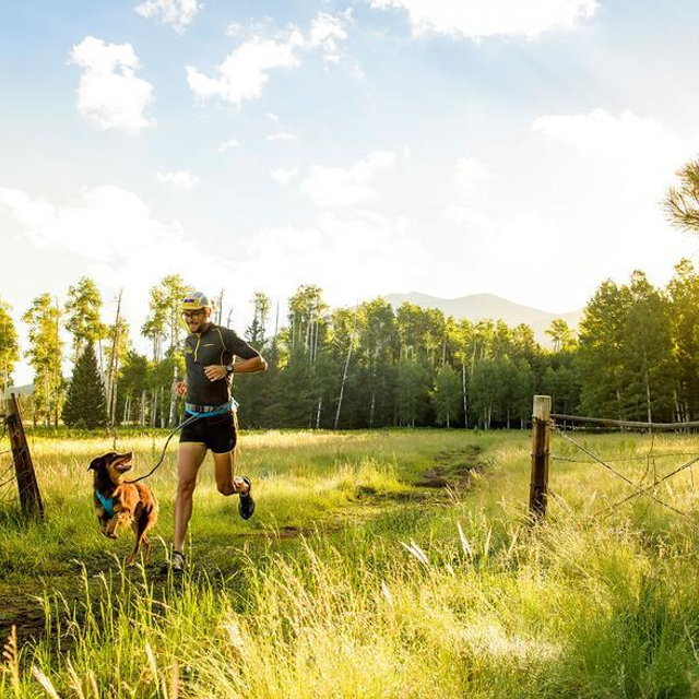 Trail Runner™ Dog Leash Belt System - Ruffwear