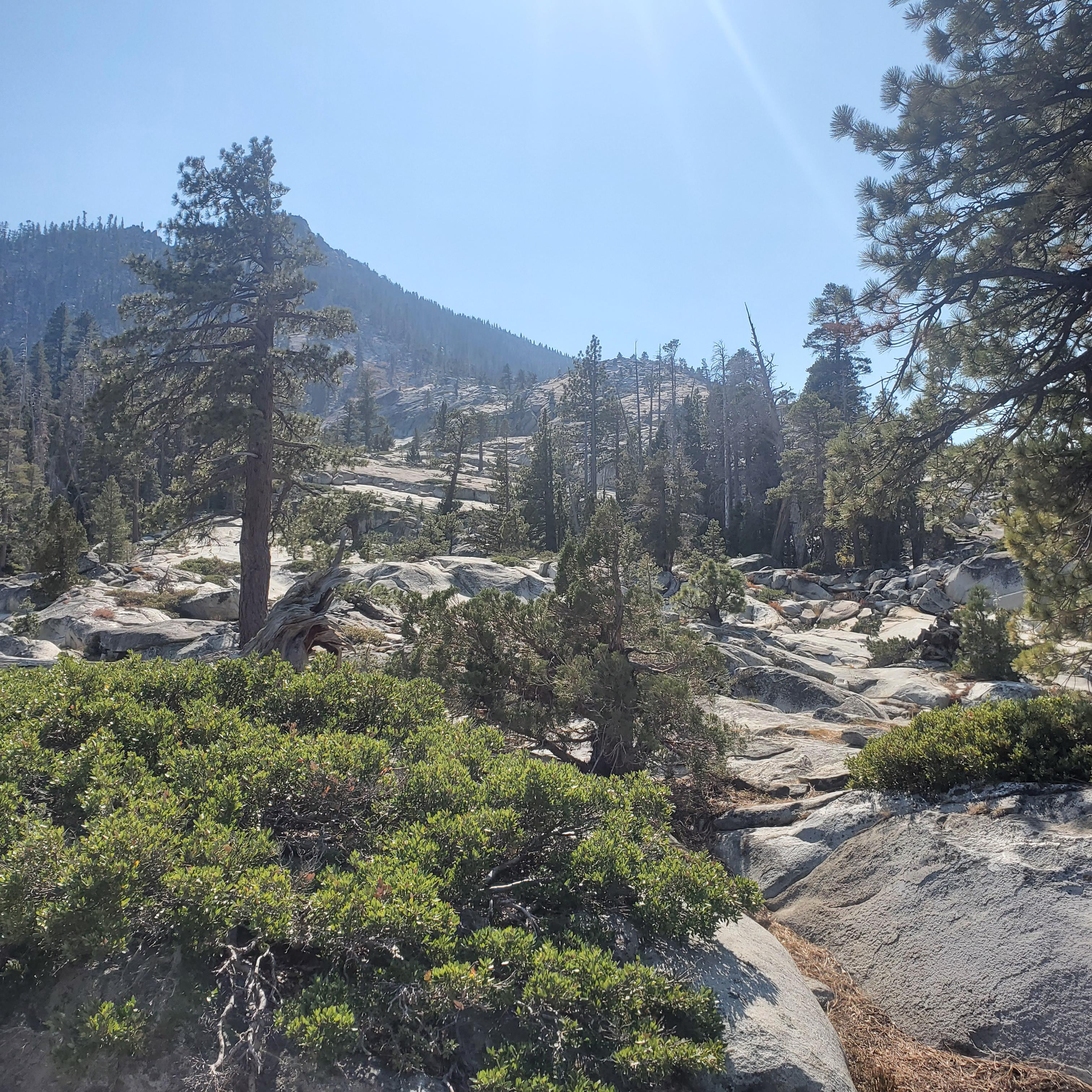 Cascade Falls Trail @ South Lake Tahoe. The location of our first in person date. After taking this picture, we raced up these rocks & thoroughly enjoyed each other's company. Eric won :-) Sept 2020