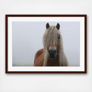 Fringe Wall Art