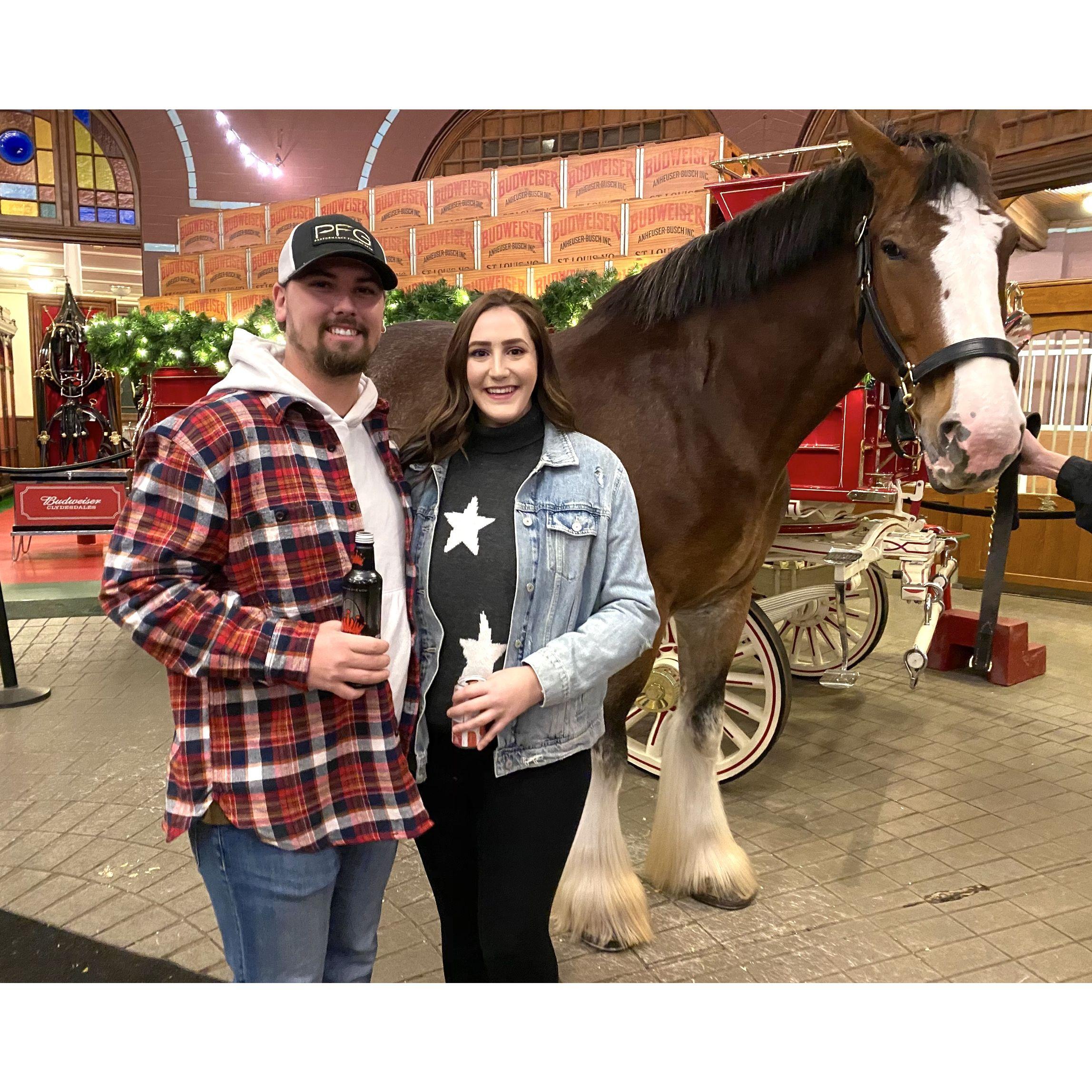 AB Brewery Lights 2019!