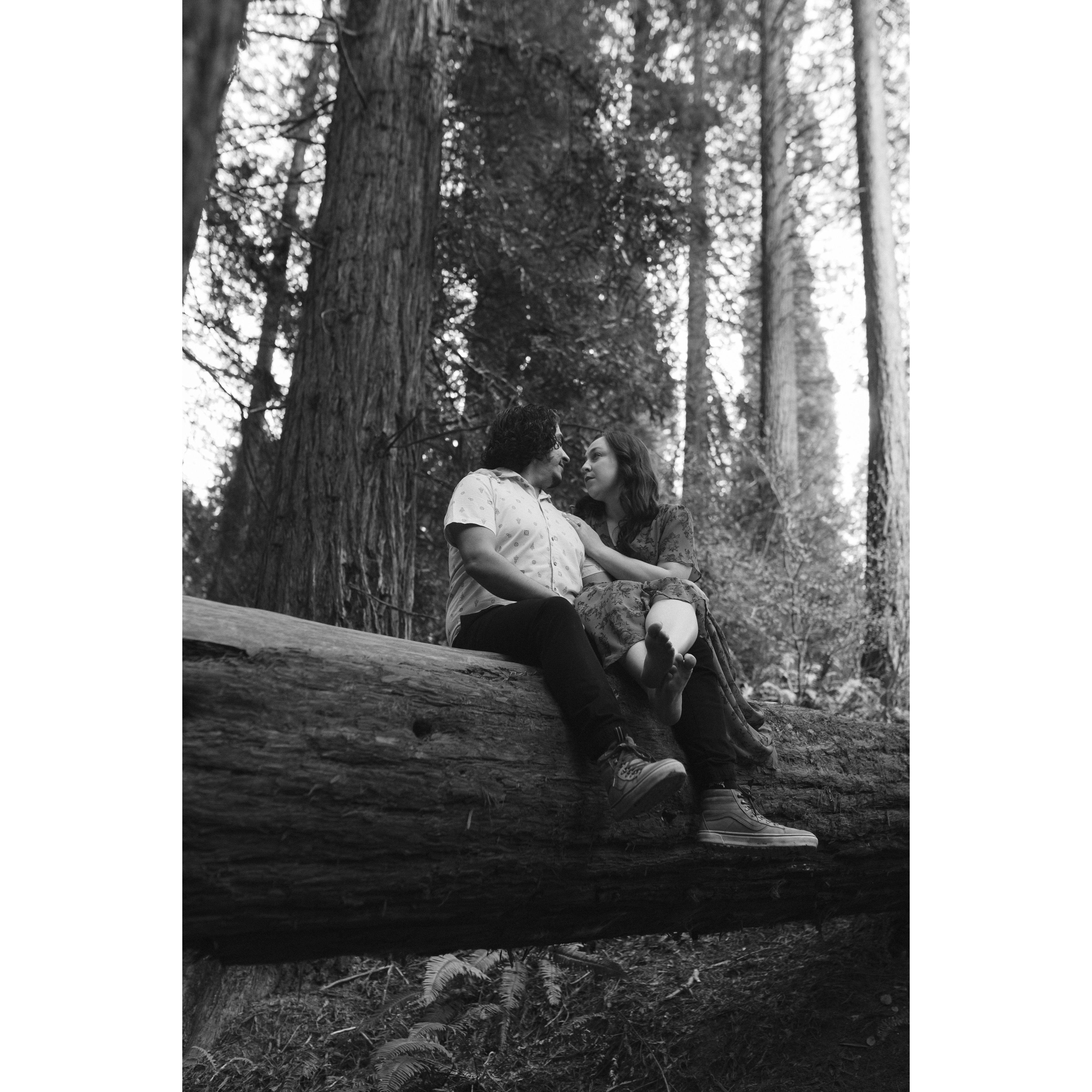 Engagement Photos by Andreia Claro