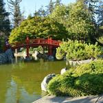 Japanese Friendship Garden