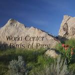 The Peregrine Fund's World Center For Birds of Prey