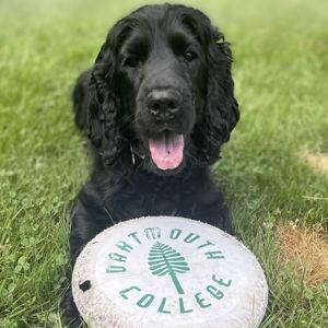 Doggie daycare fund