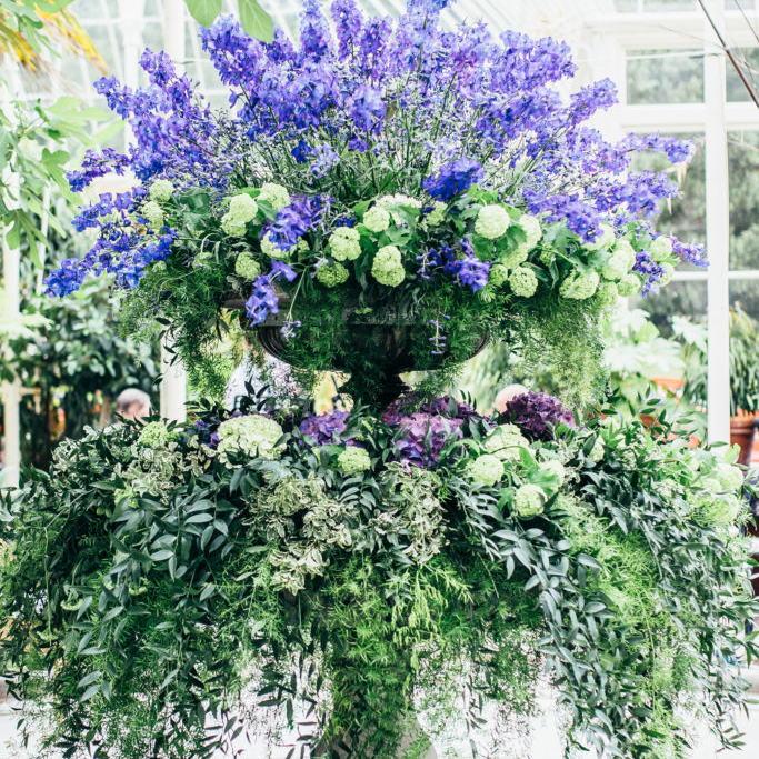 From the conservatory