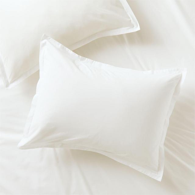 Brushed Cotton White Standard Shams, Set of 2