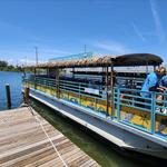 Cocoa Beach Dolphin Tours