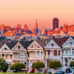 Painted Ladies