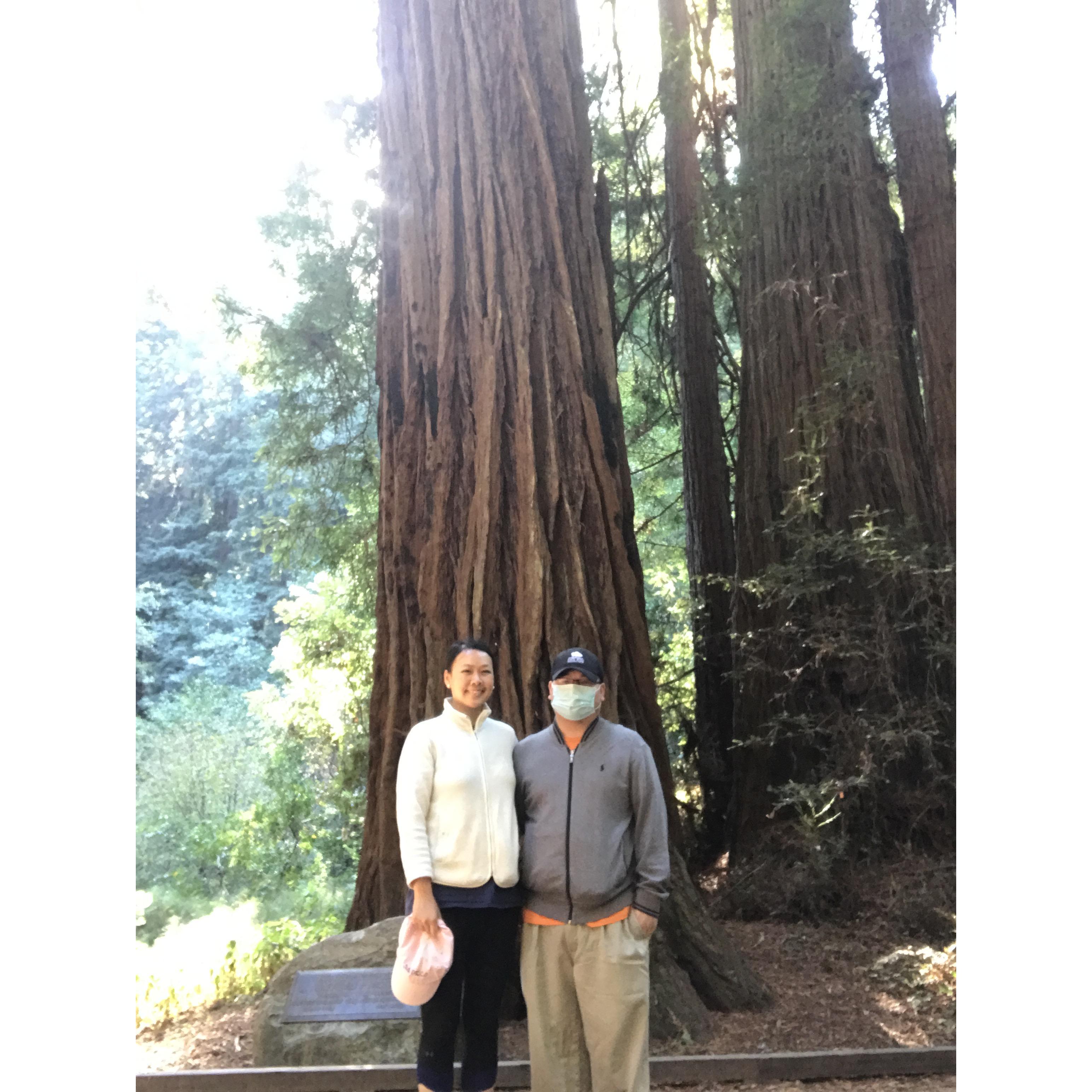 Muir Woods.  Schuyler is better at keeping his mask on at all times.