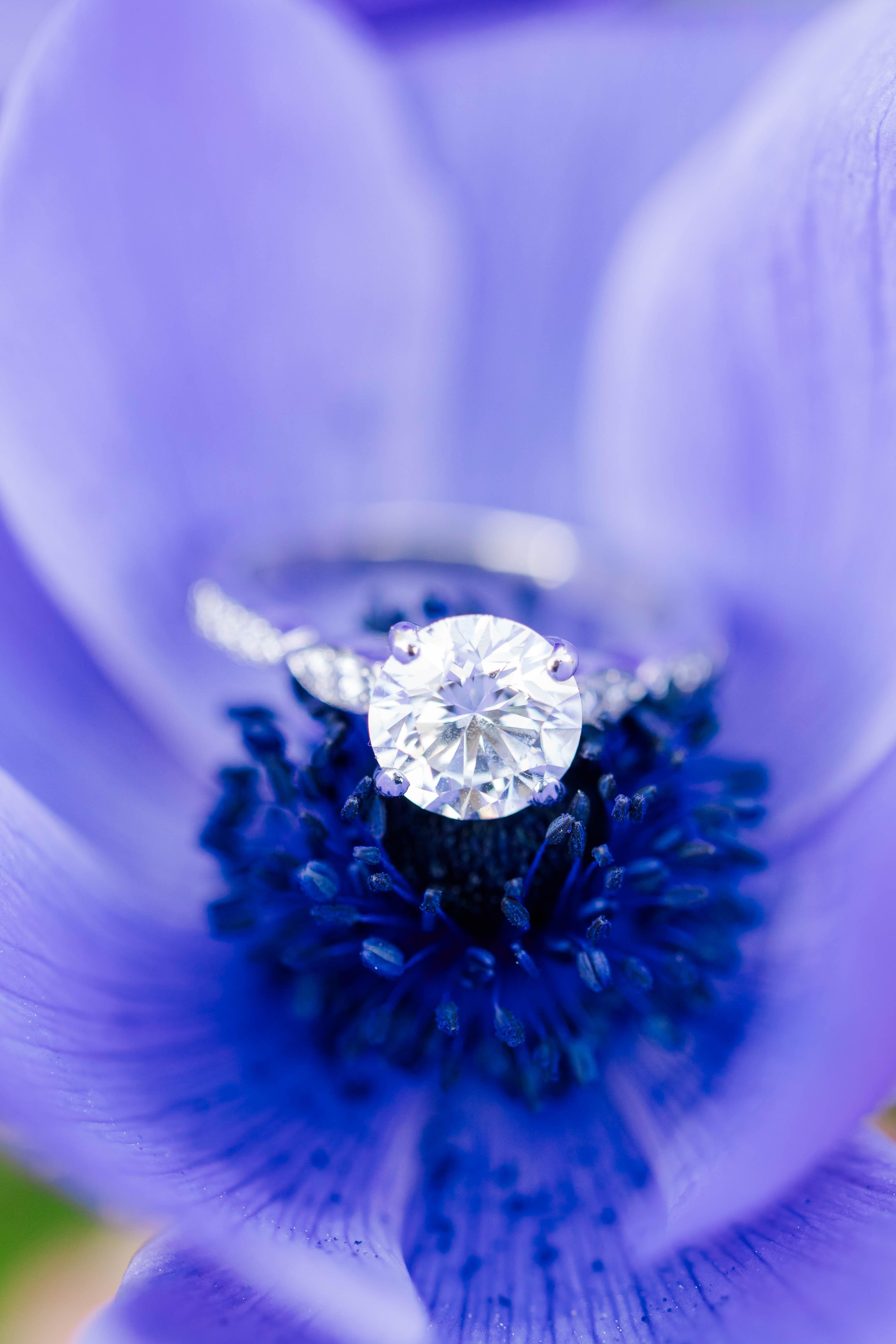 The Wedding Website of Stephanie Gianturco and Andrew Shea
