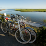 Cape Cod Rail Trail