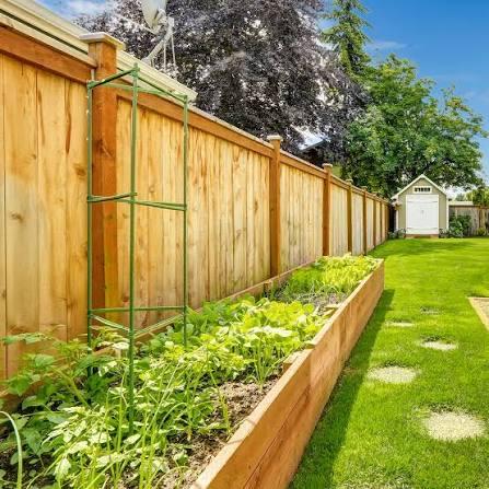 Backyard Fence 🪚🧰🦚🐶