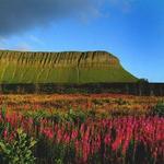 Benbulbin