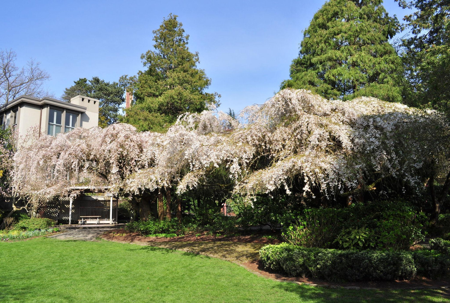 The Wedding Website of Joseph Eskenazi and Samantha Jara
