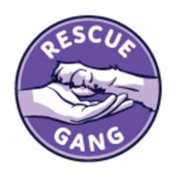 Donate to Rescue Gang