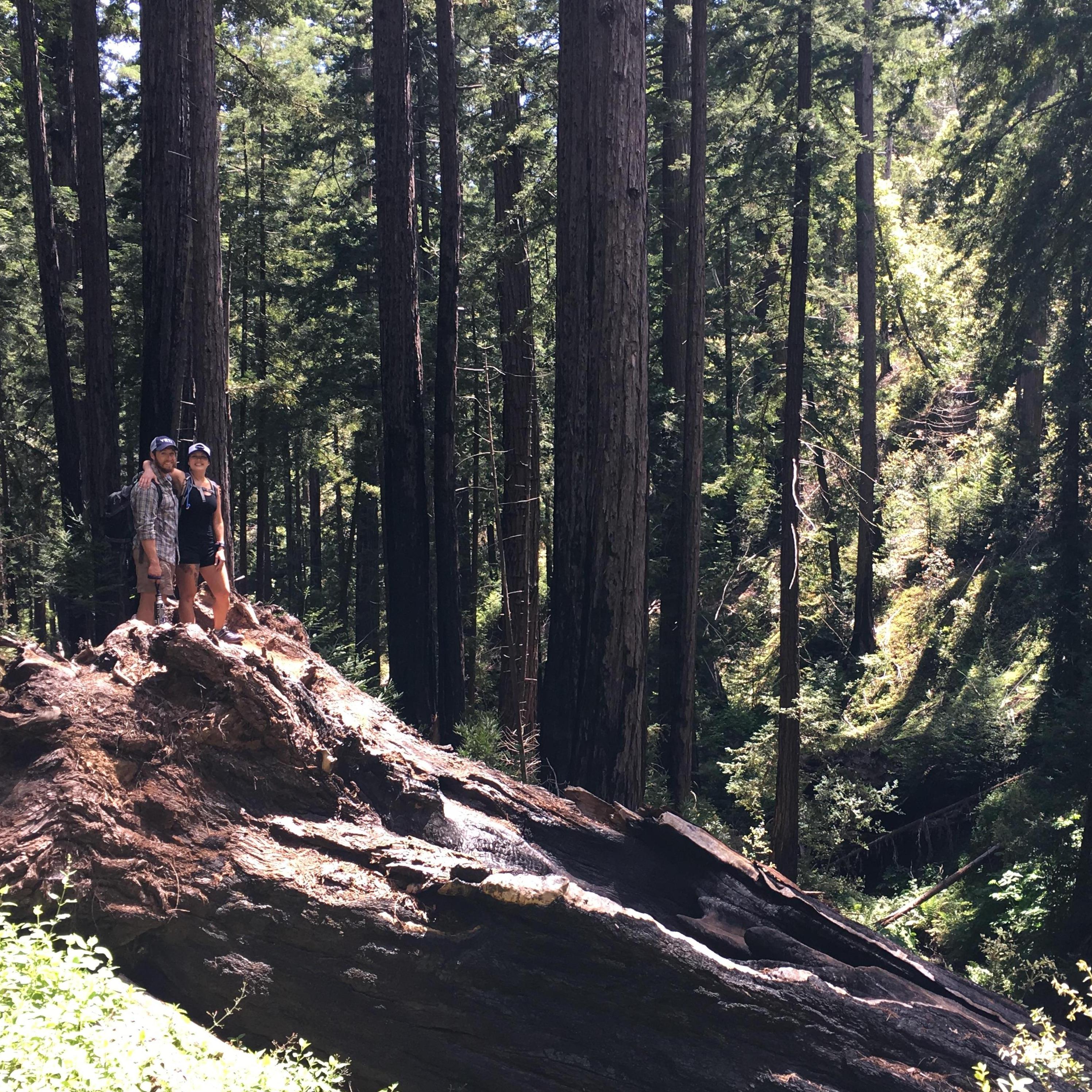 Big Sur, CA - 2016