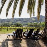 CAST Wines