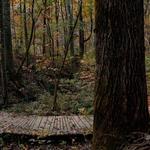 Hiking