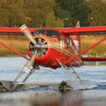Rust's Flying Service