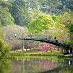 Visit Parque Ibirapuera in São Paulo