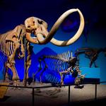 Milwaukee Public Museum