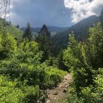 Middle Cottonwood Trail