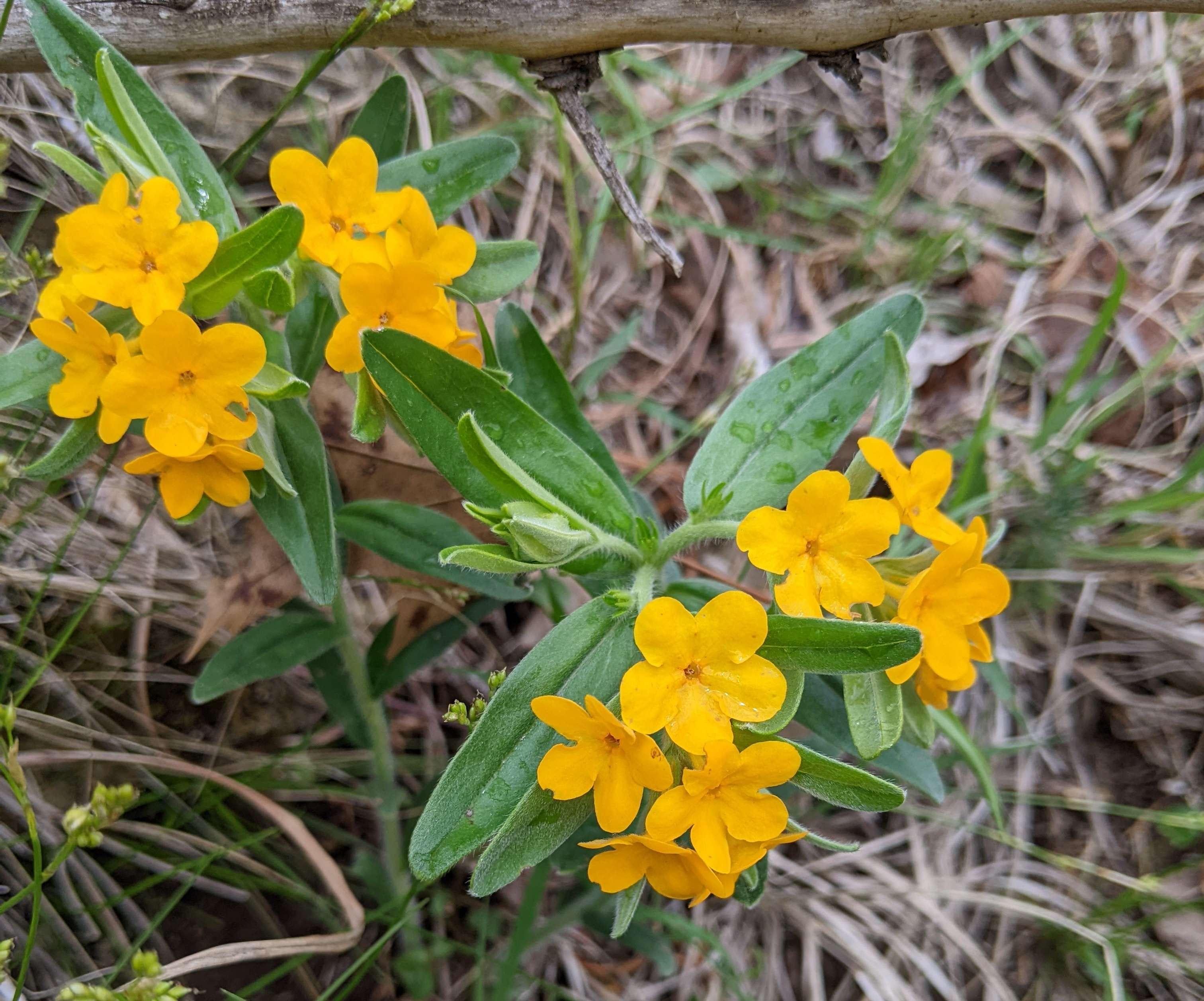 The Wedding Website of Wayde Lawler and Taryn Lawler