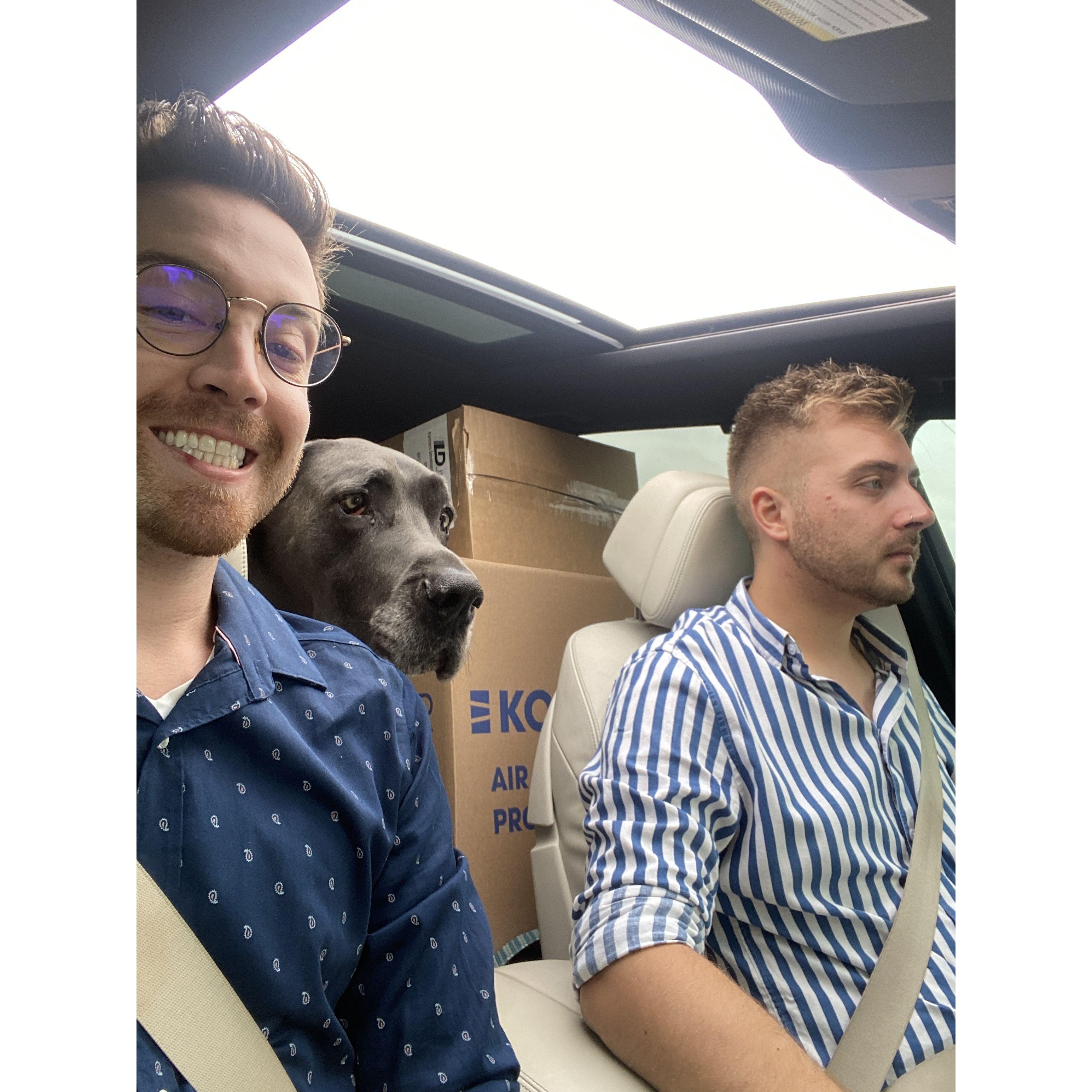 The bestest Dane dropping Matt off for his first day of work.
