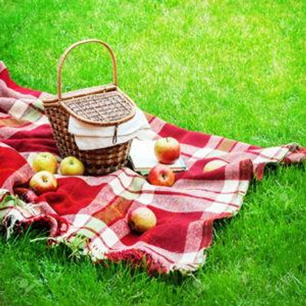 Apple Orchard Picnic