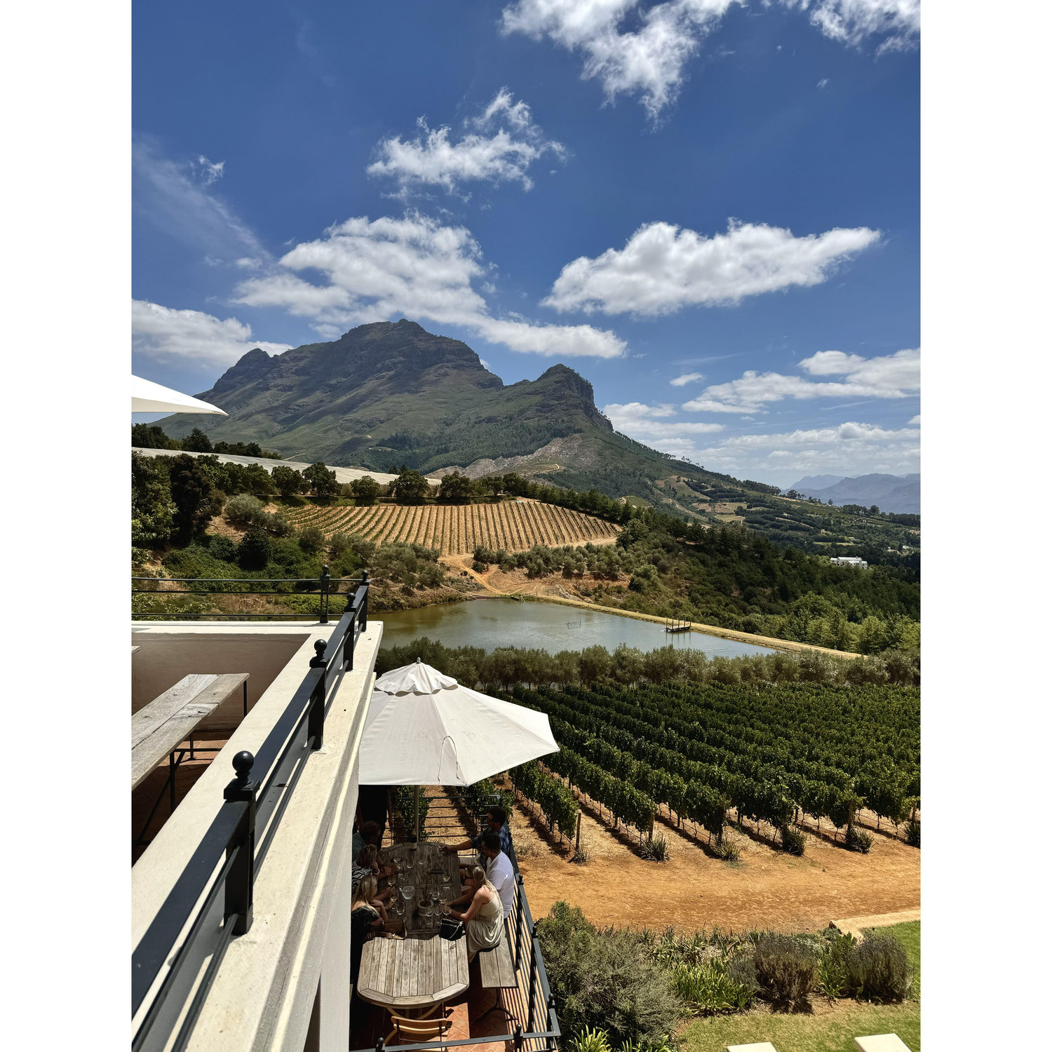 Bartinney Wine Estate Tasting Shed, Stellenbosch - gin tasting, bubbly tasting, grazing boards and views