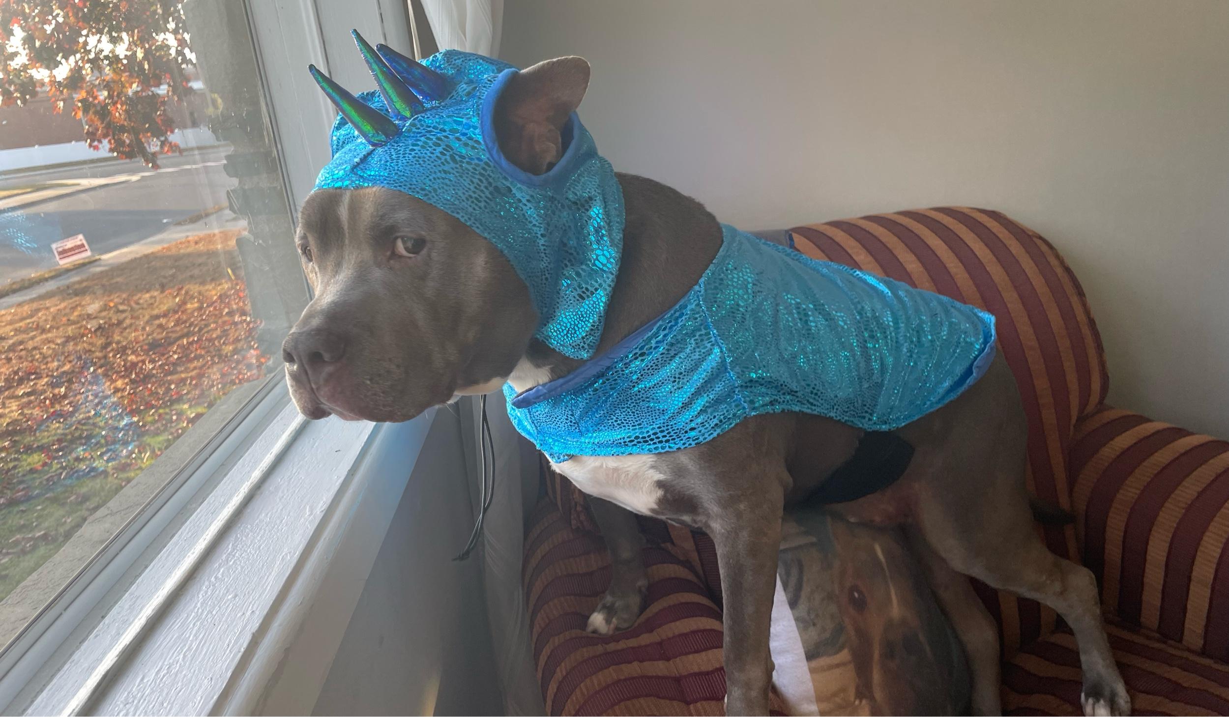 The Wedding Website of Hayley Sacchetti and Guy Loggi