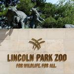 Lincoln Park Zoo
