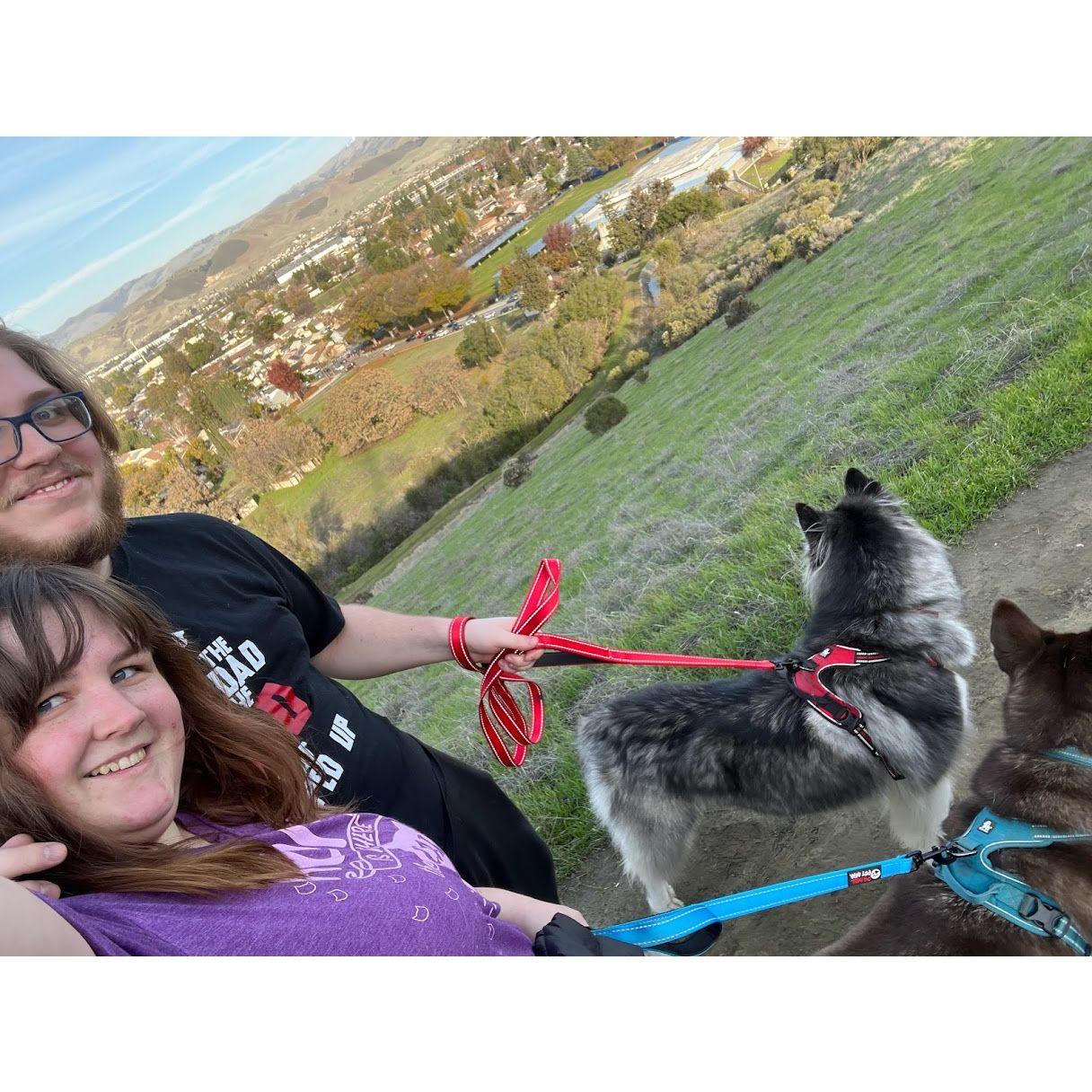 Our first time taking the dogs for a walk together. They loved him instantly.