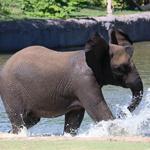 Sedgwick County Zoo