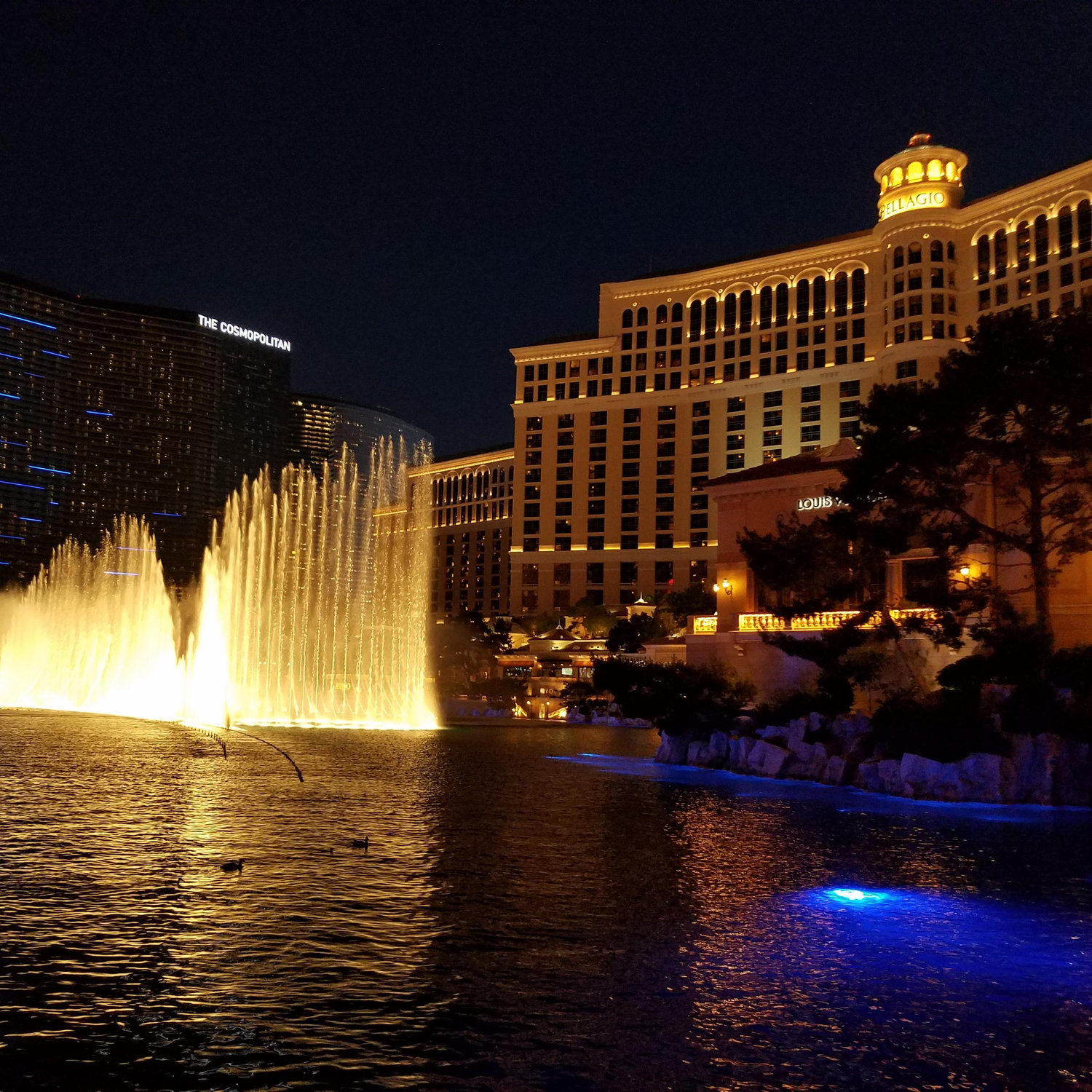 The fountains at Bellagio!