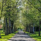Julia Davis Park