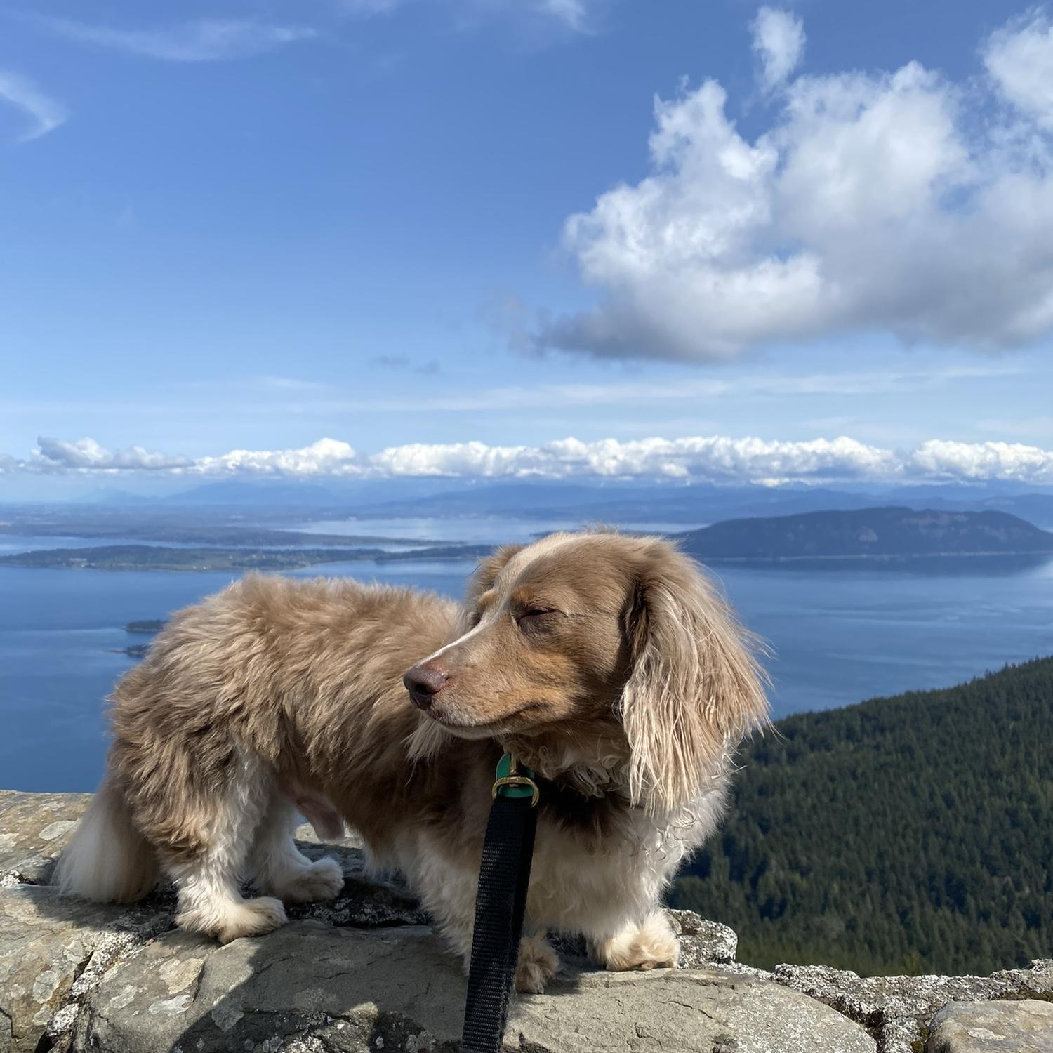 San Juan Islands, Washington