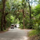 Bald Head Island