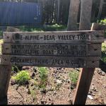 Bear Valley to Lake Alpine trail