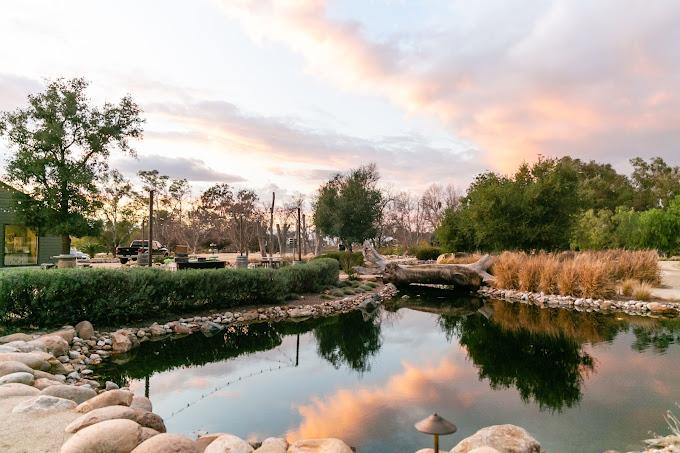 The Wedding Website of Abigail Tilton and Jeff Cribben