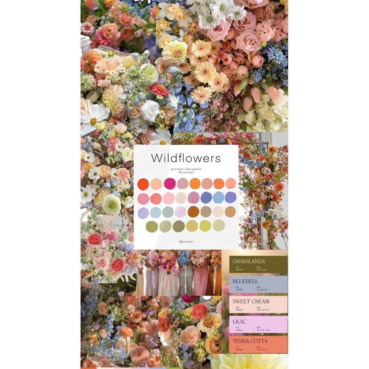 color pallet example