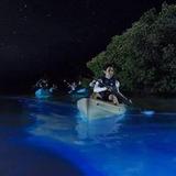 Bahía Bioluminiscente