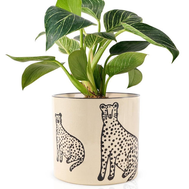 STHIE 5 Inch Ceramic Planters for Indoor Plants, Funny Small Plant Pots with Drainage, Unique Decorative Cute Flower Pot Panthers Round Flowerpots
