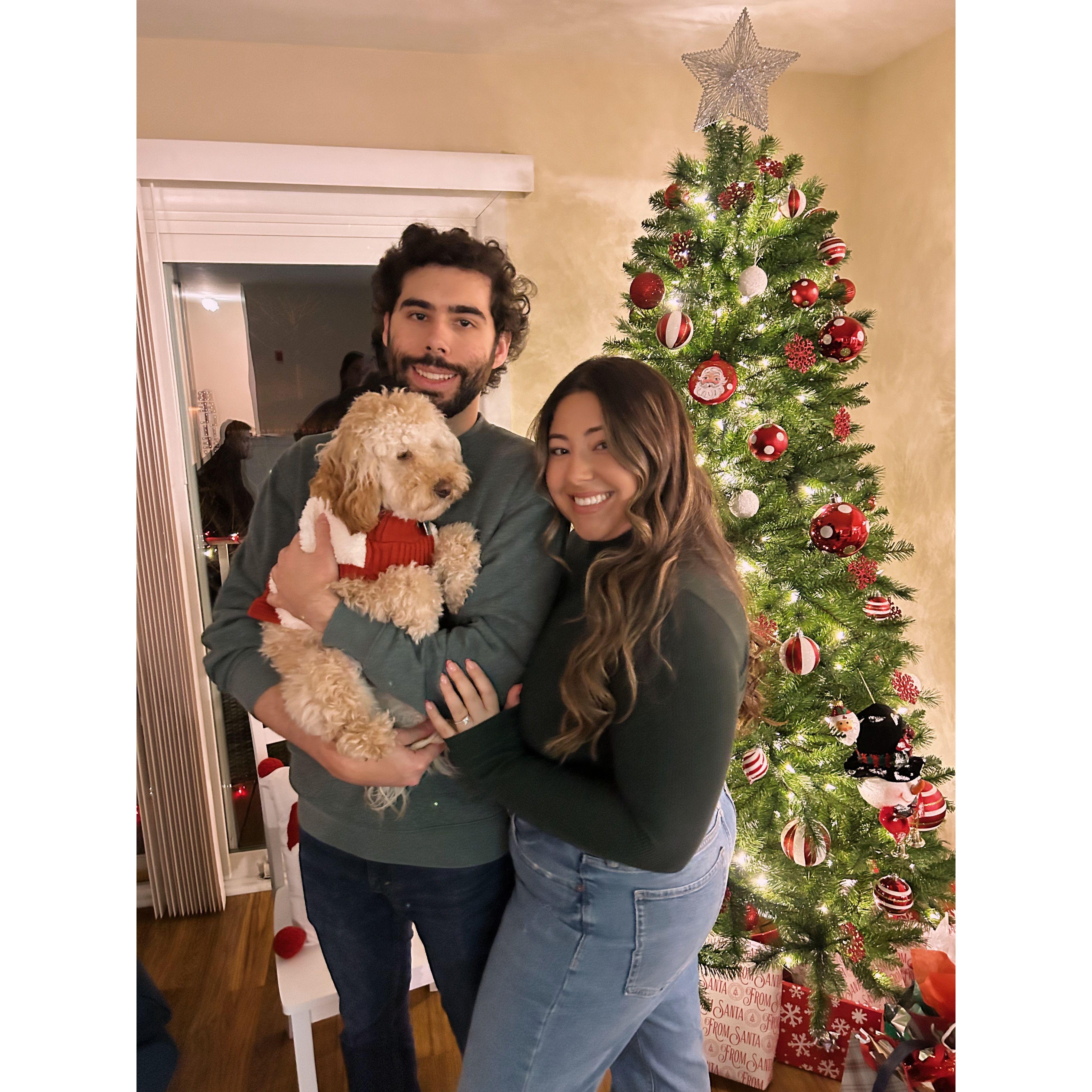 Our first family Christmas with Bentley (2023)