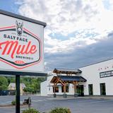 Salt Face Mule Brewing Co.