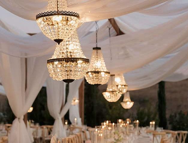 The Wedding Website of Danielle Pavia and Derek Haring